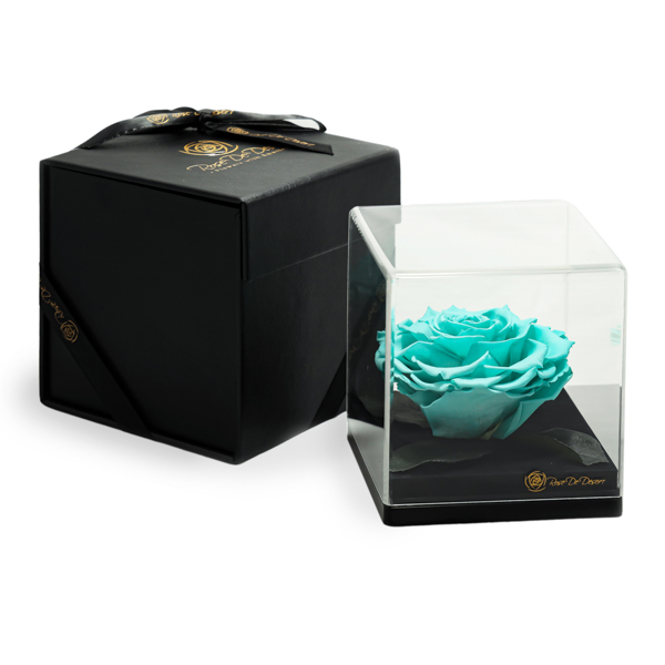 Endless Treasure Turquoise