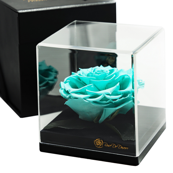 Endless Treasure Turquoise