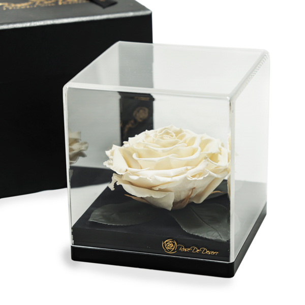 Endless Treasure White