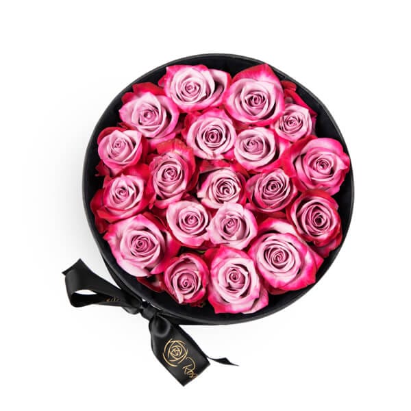 buy Pristine Roses in Doha
