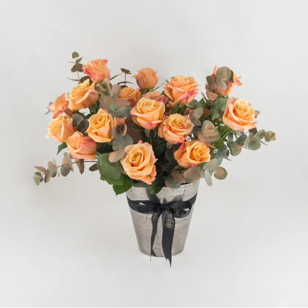 Citrus Elegance