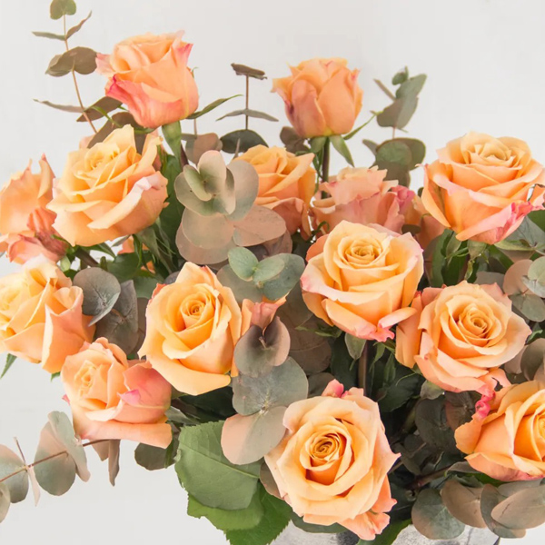 Citrus Elegance
