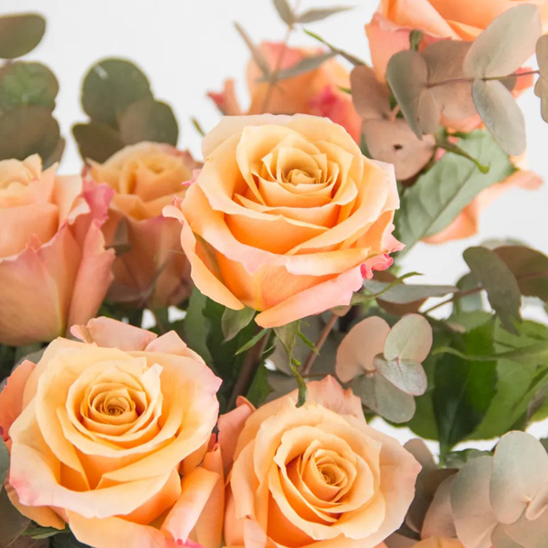 Citrus Elegance