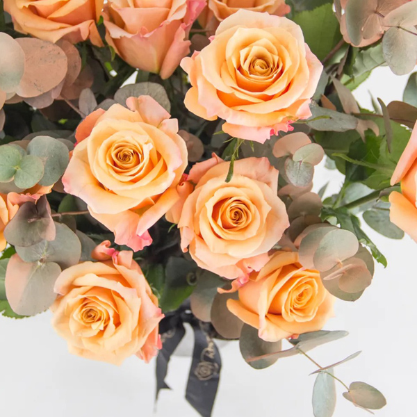 Citrus Elegance