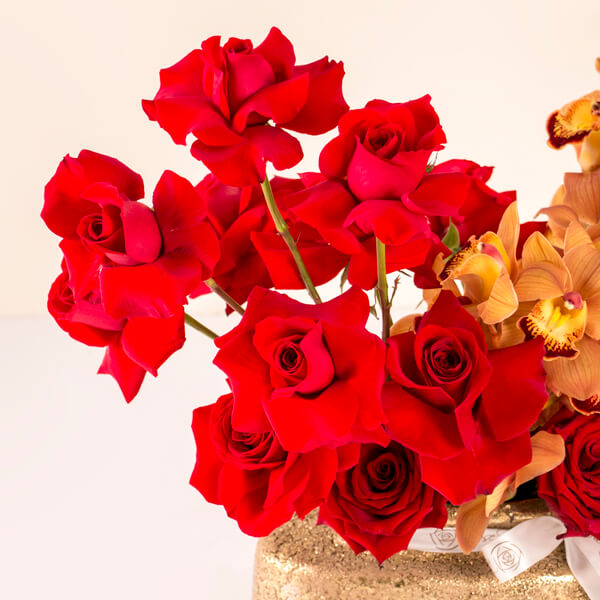 Crimson & Gold Elegance