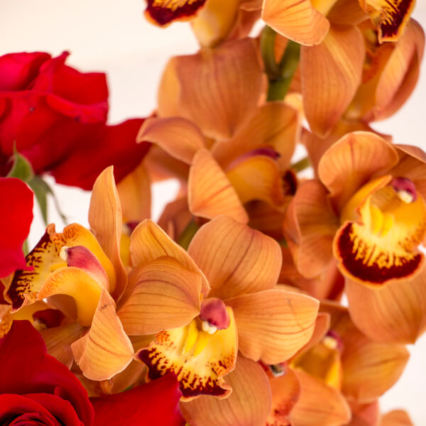 Crimson & Gold Elegance