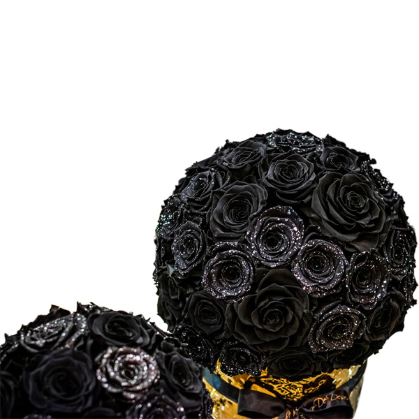 Endless Aurous Black Mix