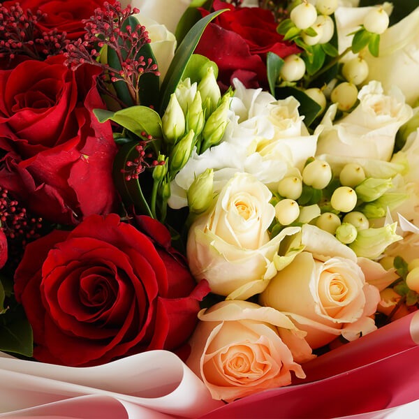 Qatars Crimson White