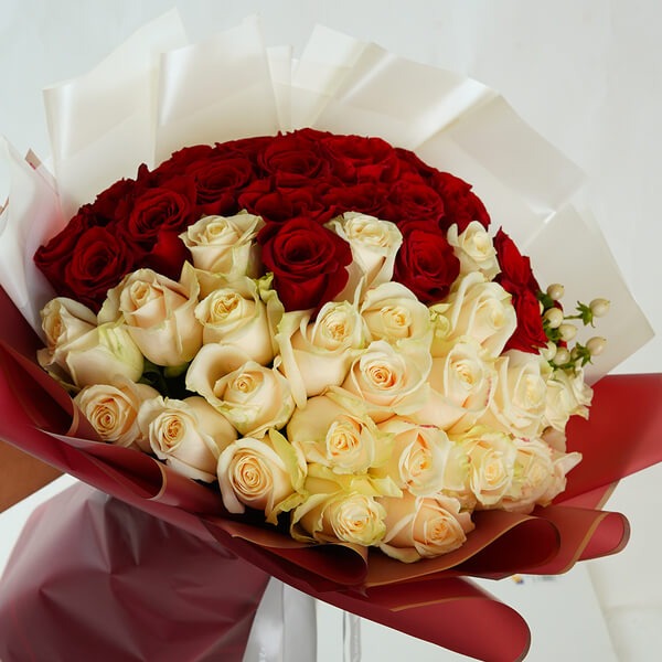 Qatars Crimson White