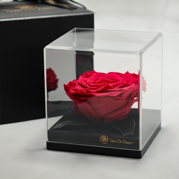 treasure-red