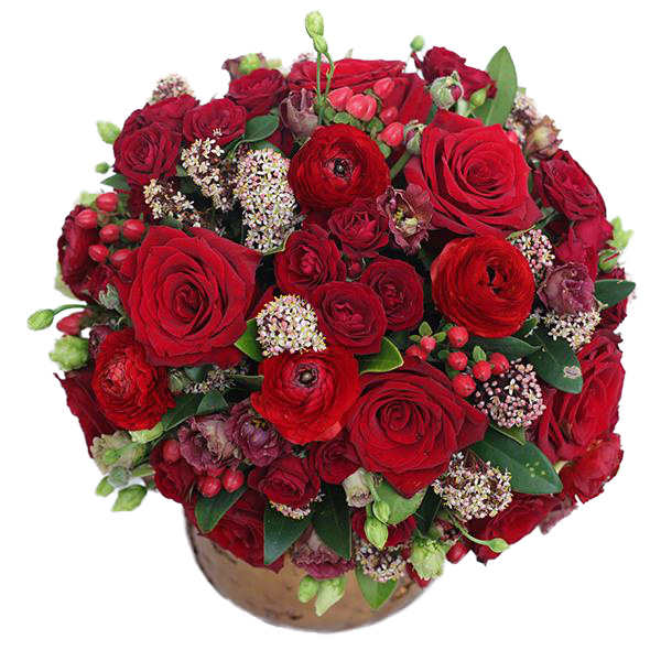 Pristine Aurous Red