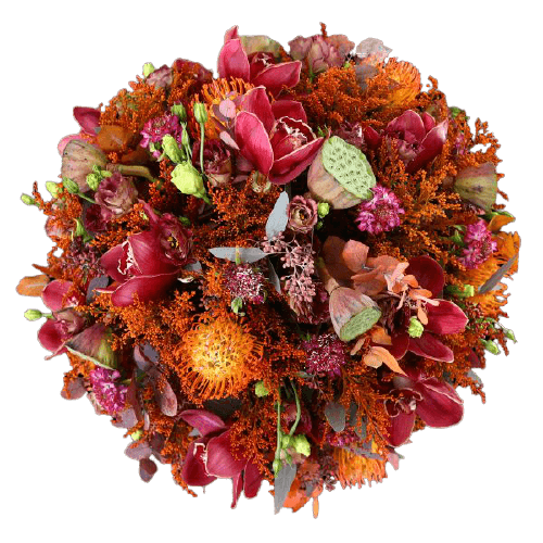 Pristine Artemis Orange Mix