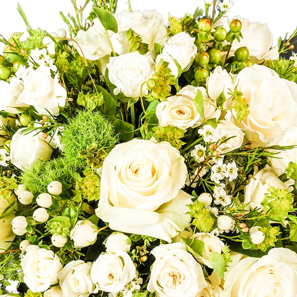 Pristine Champagne White Mix