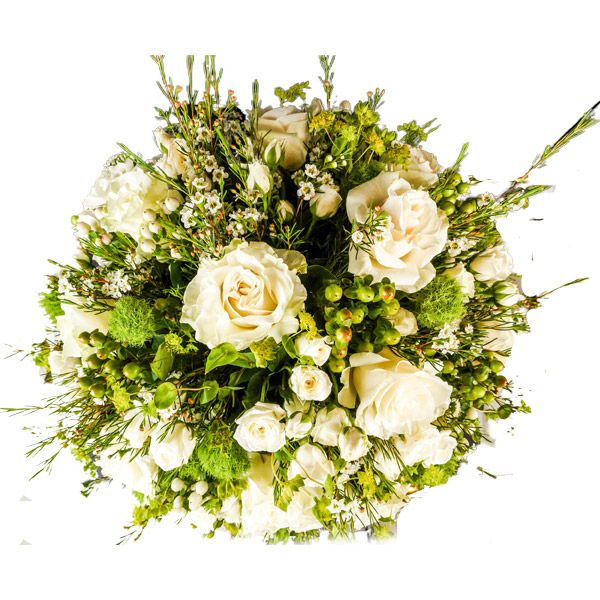 Pristine Champagne White Mix