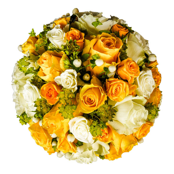 Pristine Solum Yellow White Mix
