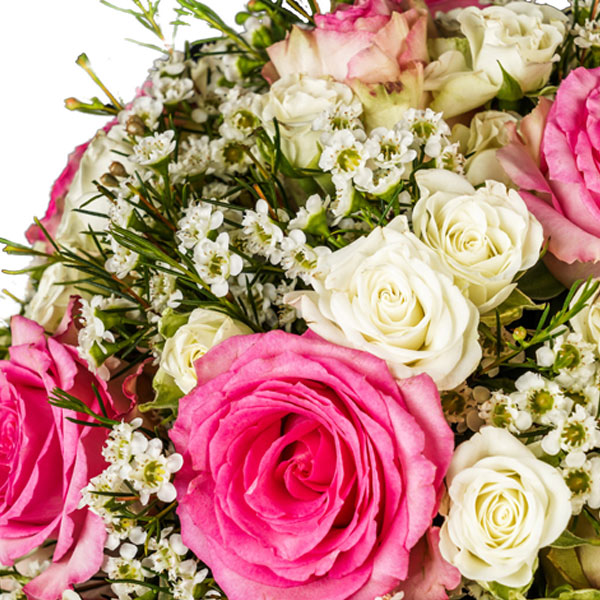Pristine Crystal Pink White Mix