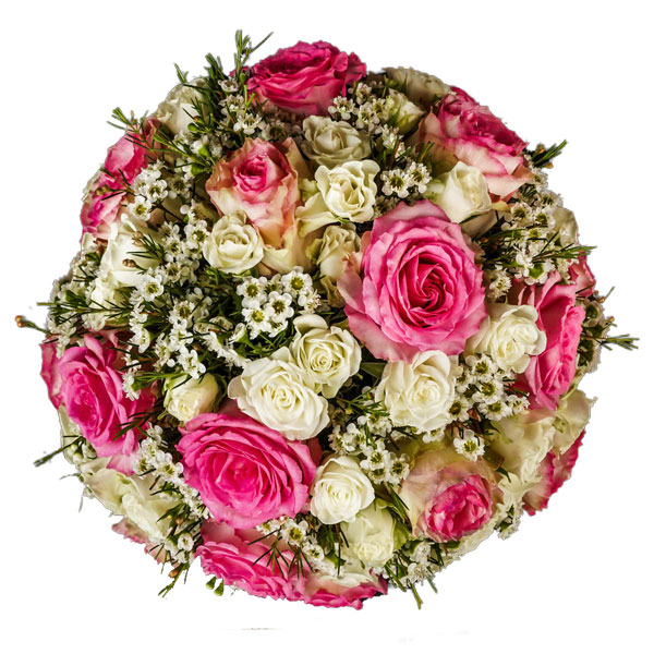 Pristine Crystal Pink White Mix