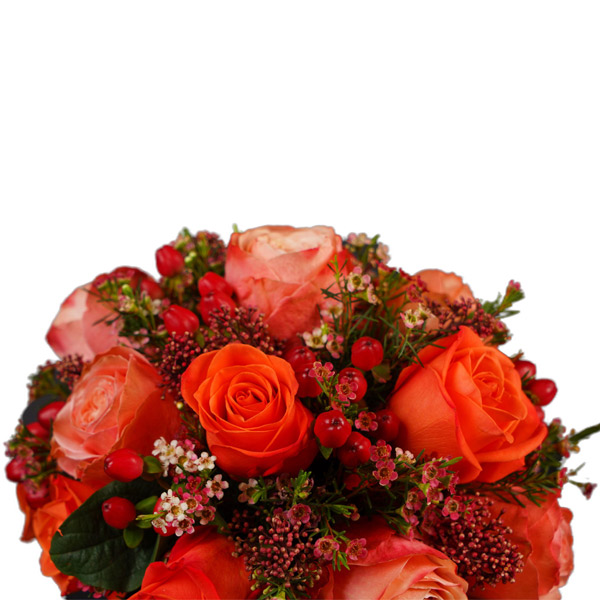 Pristinne Apollo Peach Mix