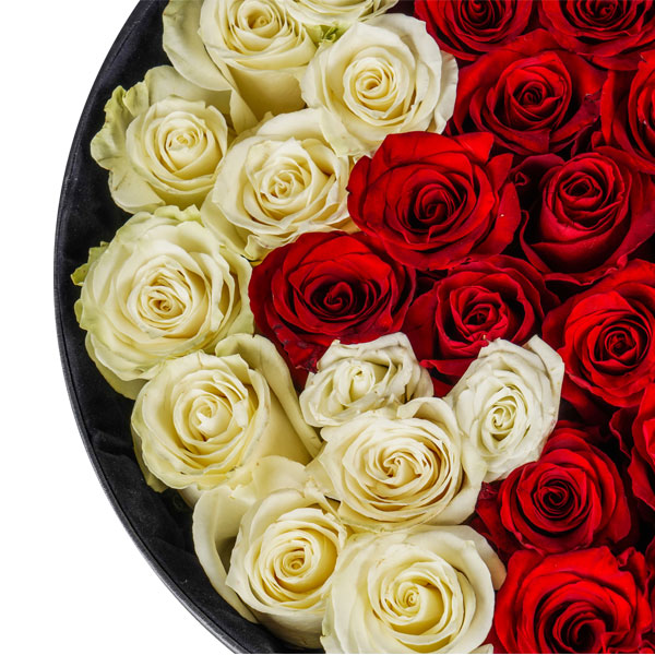 Pristine Glory National Day