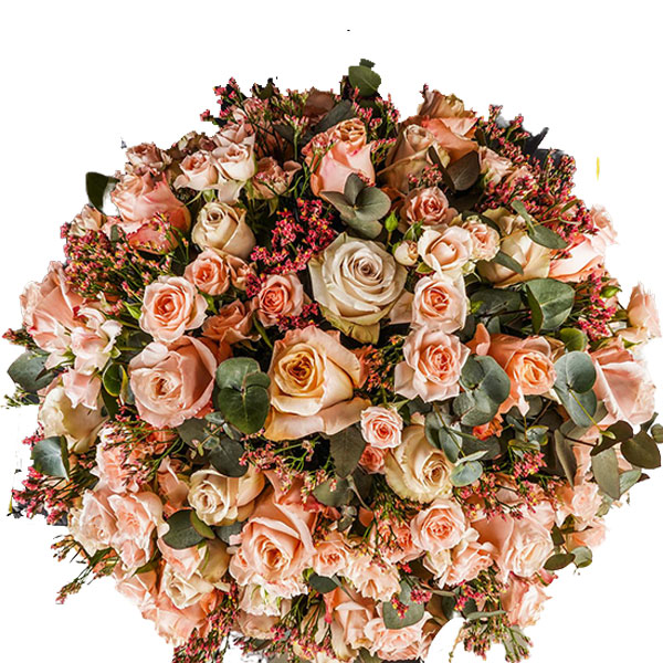 Pristine Champagne Peach Mix