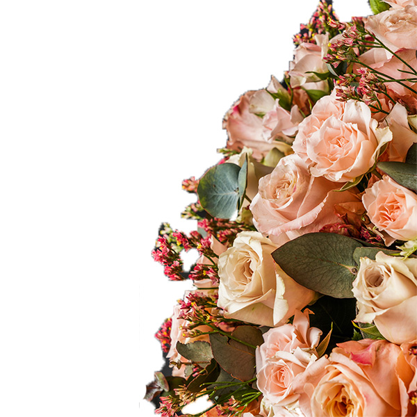 Pristine Champagne Peach Mix