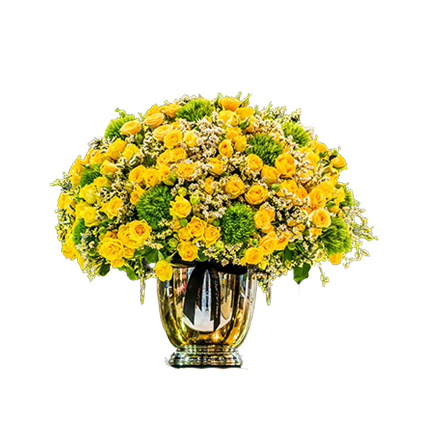 Pristine Champagne Yellow Mix