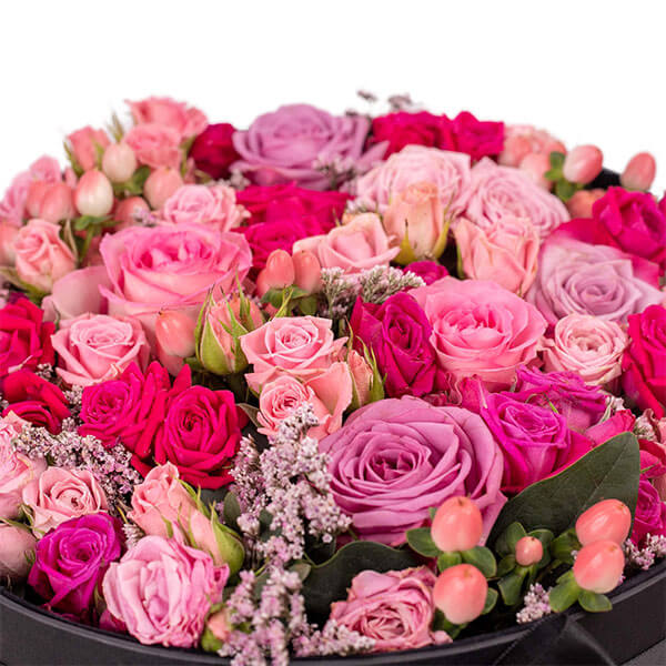 Pristine Glory Pink Mix