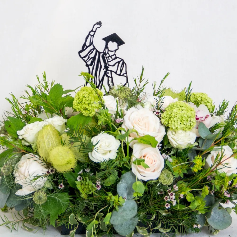 Plateu Graduation