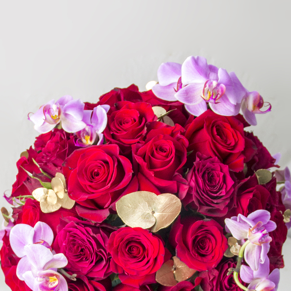 Passions Bloom