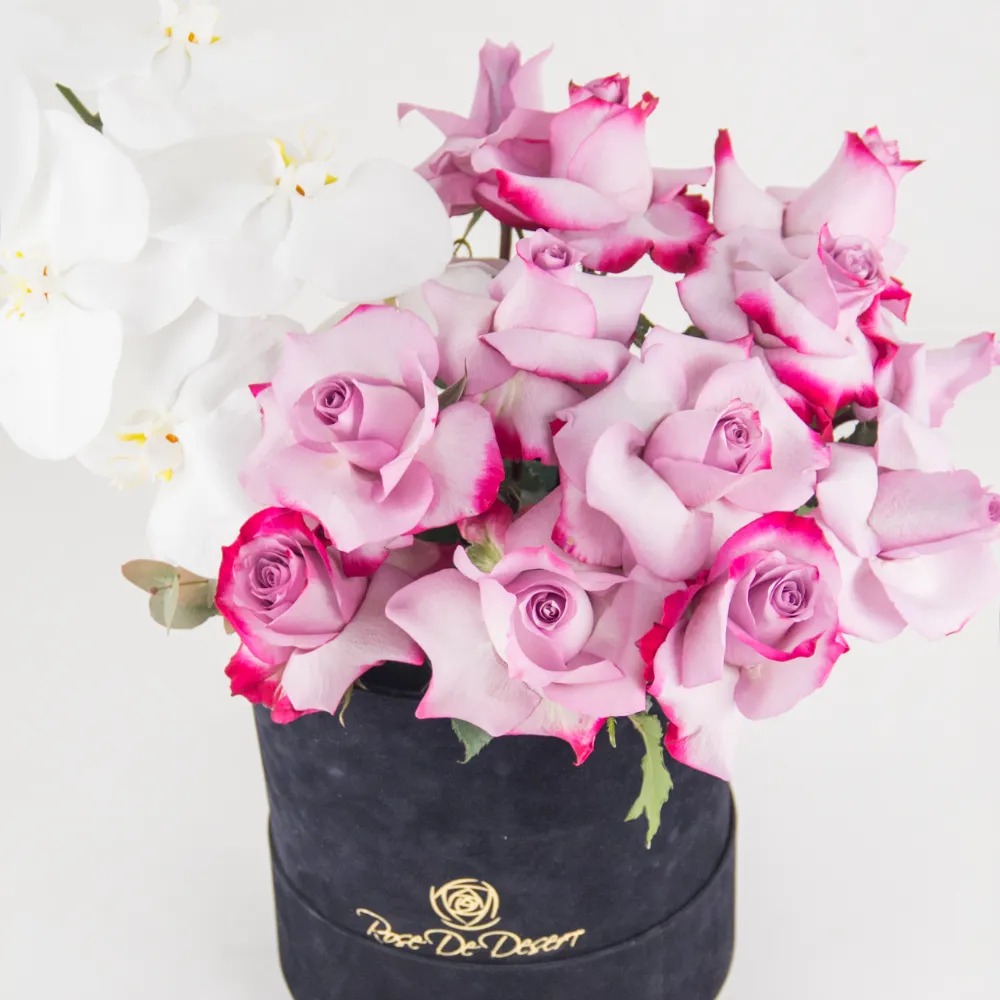 royal-bloom