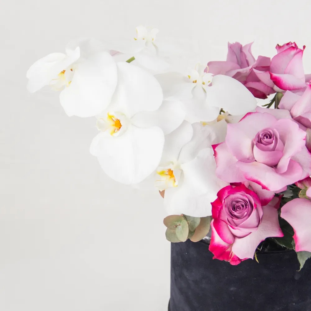 royal-bloom