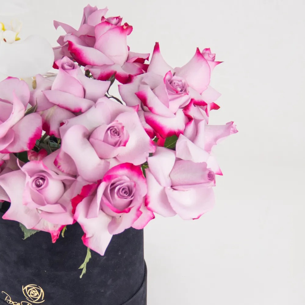 royal-bloom