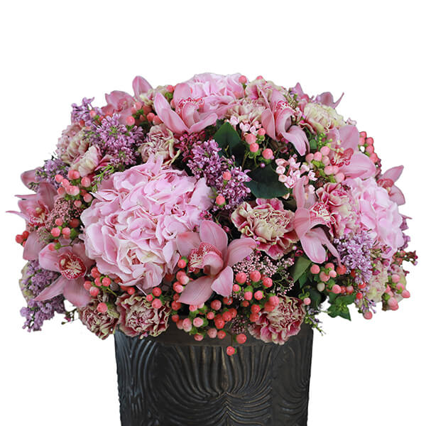 Pristine Artemis Baby Pink Mix