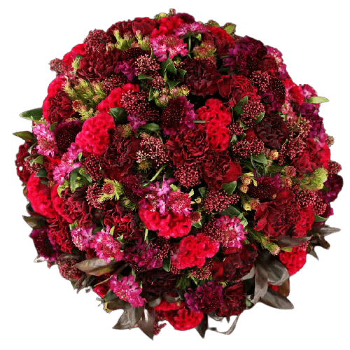 Pristine Artemis Red Mix