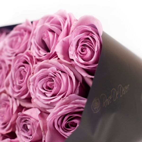 Rose de desert Stems cool water