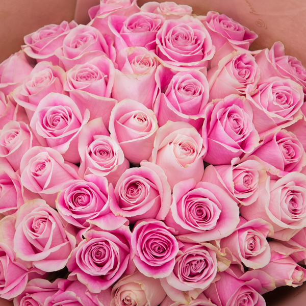Roses en Pastel