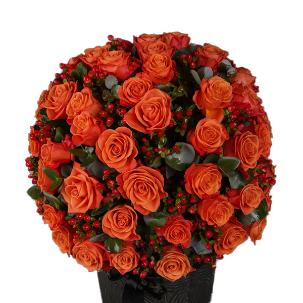 Pristine Artemis Orange Crush Mix