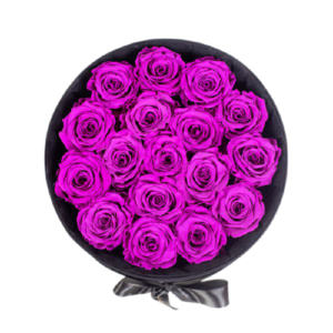 endless-glory-purple