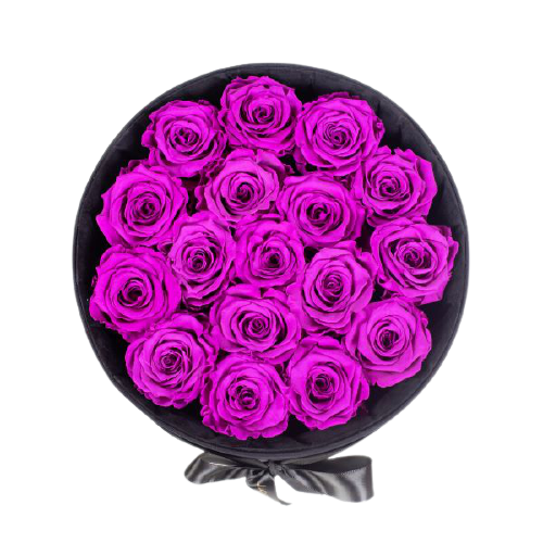 endless-glory-purple