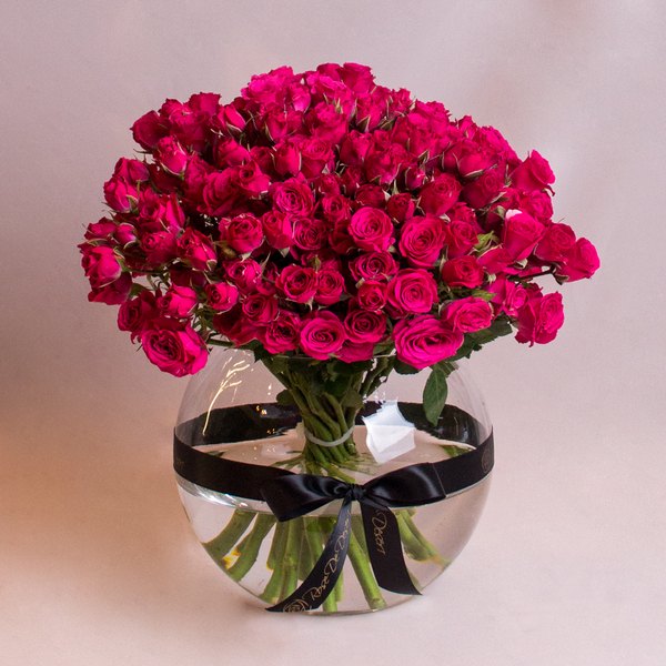 /simply-fuchsia-ببساطة-فوشي