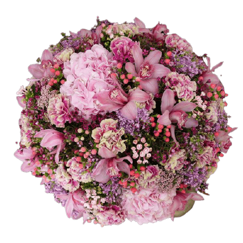Pristine Artemis Baby Pink Mix