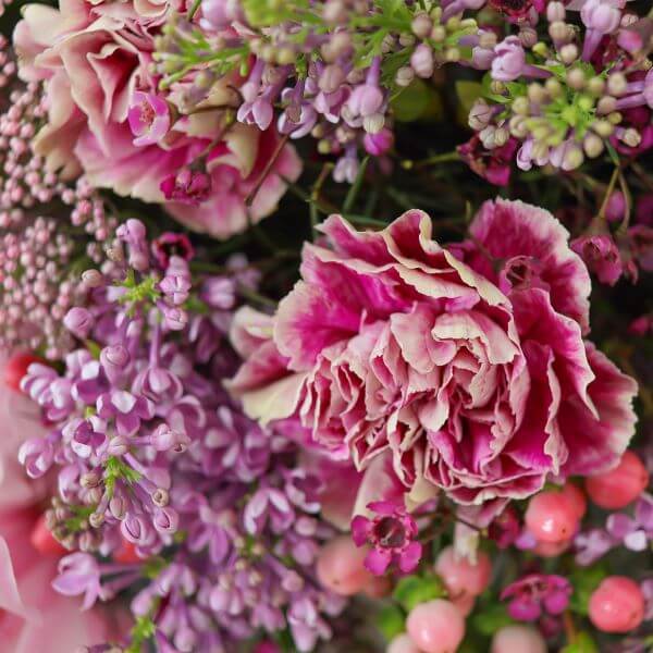 Pristine Artemis Baby Pink Mix
