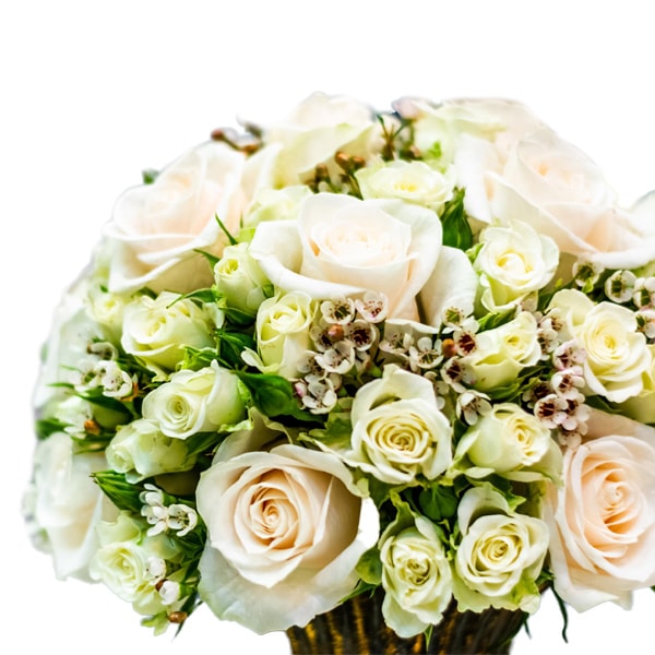 Pristine Antique White Mix