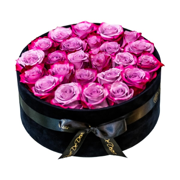 Pristine Glory Deep Purple